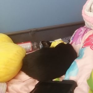 Meet your Posher, Brooke